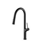 ברז לכיור מטבח קארלוס | CARLOS K999 - שחור מט