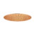 רוז גולד מוברש